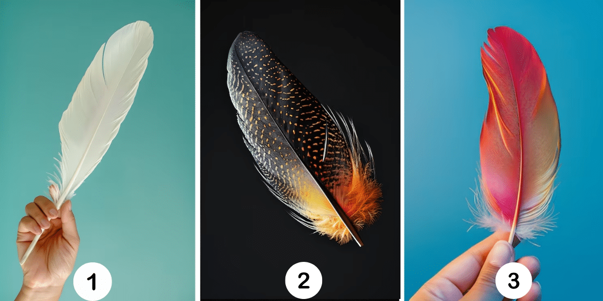 Persoonlijkheidstest: Welke uilenveer vertegenwoordigt jou? Kies een van de 3 opties en onthul de geheimen van jouw karakter!